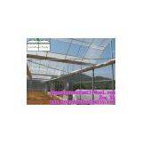 Plastic Agricultural Greenhouses for Sale
