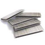 22 GA 3/16 Inch A Series Galvanized Staples thumbnail-1