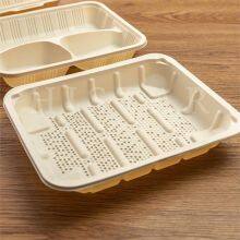 Disposable Organic Eco-Friendly Food Tray thumbnail-1