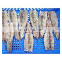 Skin on Wing on Illex Squid Tube for Export