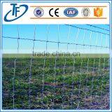 Professional Manufacturer Cheap Galvanized Wire Farm Fence for Cattle/sheep thumbnail-1