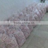 A Grade Frozen Chicken Feet, Paws and Other Parts Available
