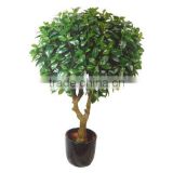 outdoor Artificial Tree(Real Trunk)