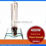 Grow light 400W sodium lamp -Plant Growth