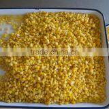 Export Canned Sweet Yellow Corn 340gx24tin thumbnail-3