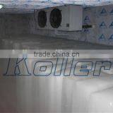 Koller Usine de Machine Des Barres de Glace Nigeria thumbnail-4