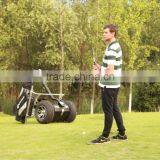 Golf-version Unite Motor Scooters