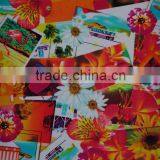 Hot Sale Design Printing Fabric for Ladies Dress