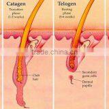 Vertical 808nm Diode Laser Hair Removal Beauty Machine/hair Removal Speed 808 thumbnail-2