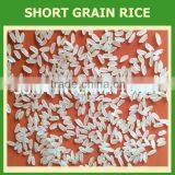 Vietnamese Jasmine Fragrant White Rice - High Quality GOOD FOR HEALTH thumbnail-2