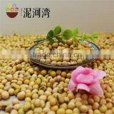 2016 Crop NON-GMO Yellow Soybean / Soy Bean for Oil/tofu/animal Feeds Organic thumbnail-5