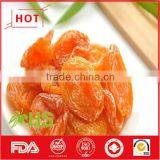 Sour and Sweet Dried Apricots of Wholesale Price thumbnail-2