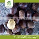 Fresh Chestnut Insell for Wholesales thumbnail-3
