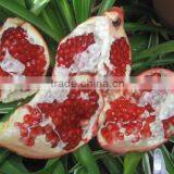 FRESH SWEET POMEGRANTE thumbnail-3
