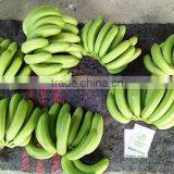 Direct Factory Price the Good Quality Ethylene Ripener for Banana(1) thumbnail-6