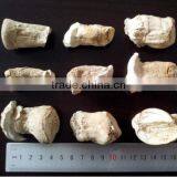 Mushroom Head Dildo, thumbnail-1