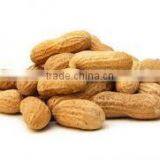 High Quality Peanuts thumbnail-2