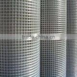 Galvanized Welded Iron Wire Mesh thumbnail-1