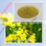Rapepollen Pure Natural Bee Pollen Unsolved Wall Authentic Protect the Prostate thumbnail-1