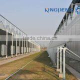 Venlo Roof Agricultural Polycarbonate Sheet Greenhouse thumbnail-2