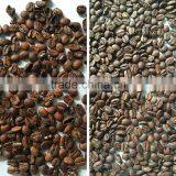 Automatic Best Quality Coffee Bean Color Sorting Machine thumbnail-2