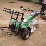 1000W Electric Golf Cruiser(SX-E0906-3A) thumbnail-1