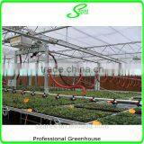 Professional Greenhouse Project Commercial Hydroponic Systems thumbnail-5