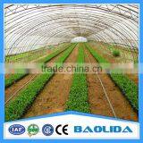 Used Hydroponic Greenhouses thumbnail-6