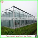 Top quality polycarbonate board agricultural greenhouses with muti span