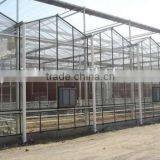 Standard Used Glass Multi Span Greenhouse thumbnail-1