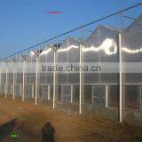 PC Sheets Supplier!!PC Sheets/ Polycarbonate Sheet/transparent PC Sheets for Greenhouse Cover thumbnail-2