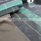 Weed Barrier Fabric thumbnail-6