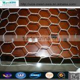 Bird Cage Wire Mesh / Gabion Mesh / Hexagonal Wire Mesh With High Quality thumbnail-2