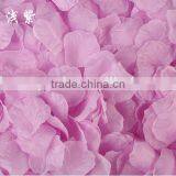 Colorful Rose Petal Table and Wedding Decoration thumbnail-4