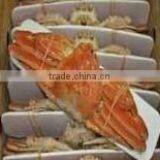 Boiled Frozen/Fresh Frozen Snow Crab Legs/Whole From Hokkaido thumbnail-2