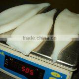 Calamari Tubo thumbnail-1