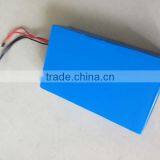 24 V30AH Lithium Iron Phosphate Battery