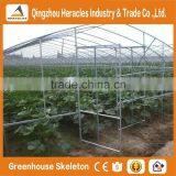Heracles Hot Sale pe Transparant Plastic Film Greenhouse, Multi Span Greenhousee Film, 200 Micro Film for Planting Vegetables thumbnail-5