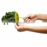Rosemary Thyme Loose Leaf Herb Stripper Kale, Chard, Collard Green Herb Stripper Looseleaf Kitchen Gadgets Vegetable Tool KC1586 thumbnail-5