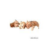 Sell Plush Dog thumbnail-1