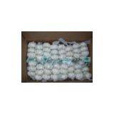 Best Chinese Fresh Garlic thumbnail-1