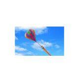 Jewel Power Kite