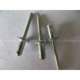 Hippocampal Rivet thumbnail-2