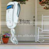 White House Home With Display