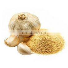 Garlic Powder Single Spice Vietnam High Quality thumbnail-1