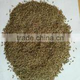 Cumin Seeds thumbnail-1