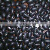 chinese black kidney beans