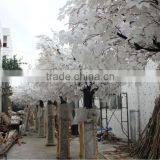Factory New Products Artificial Ficus Tree for Decoration on Sale thumbnail-4