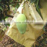 Malaysia Vietnam Sri Lanka Kraft Paper Mango Protection Bag thumbnail-1