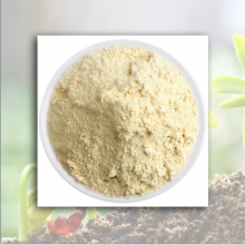 Raw Soybean Flour thumbnail-2